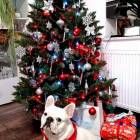 zdjęcie nr 10