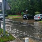 zdjęcie nr 38