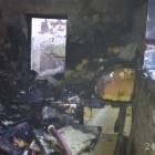 Fotka nr 5 z 7