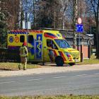 Fotka nr 1 z 13