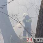 Fotka nr 2 z 14
