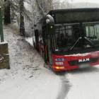 Fotka nr 2 z 7