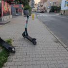 fot. Straż Miejska Jelenia Góra