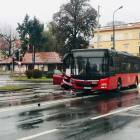 Fotka nr 4 z 11
