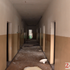 zdjęcie nr 8