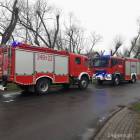 Fotka nr 3 z 8
