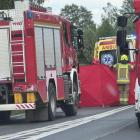 Fotka nr 3 z 17