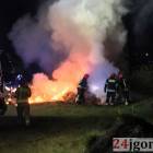 Fotka nr 4 z 11