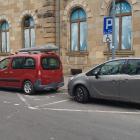 fot. Straż Miejska Jelenia Góra