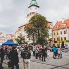 zdjęcie nr 11