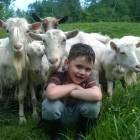 zdjęcie nr 12