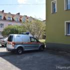 zdjęcie nr 12
