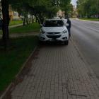 fot. Straż Miejska Jelenia Góra