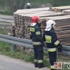 Fotka nr 5 z 19