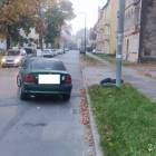 Fotka nr 4 z 7