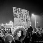 zdjęcie nr 22