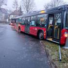 Fotka nr 2 z 6