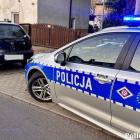Fotka nr 1 z 2