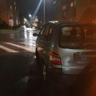 fot Straż Miejska Jelenia Góra