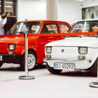 zdjęcie nr 59