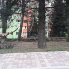 zdjęcie nr 33