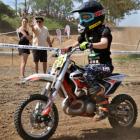 zdjęcie nr 42