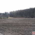 zdjęcie nr 30