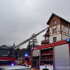 zdjęcie nr 8