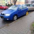 Fotka nr 2 z 7