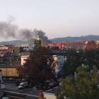 Fotka nr 3 z 11