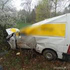 Fotka nr 1 z 7