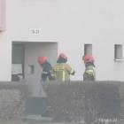 zdjęcie nr 8
