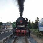 Fotka nr 5 z 7