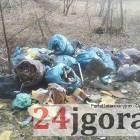 Fotka nr 4 z 13