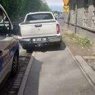 fot. Straż Miejska Jelenia Góra