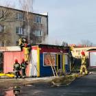 Fotka nr 5 z 13