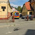 Fotka nr 2 z 3