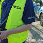 Fotka nr 1 z 3