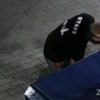 Fotka nr 0 z 4