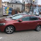 fot. Straż Miejska Jelenia Góra