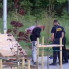 fot. Straż Miejska Jelenia Góra