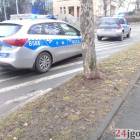 Fotka nr 2 z 6