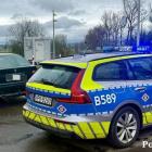 Fotka nr 5 z 8