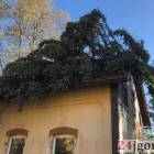 zdjęcie nr 46