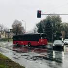 Fotka nr 3 z 11