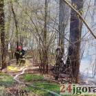 Fotka nr 3 z 14