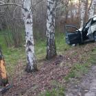 fot. OSP KSRG Rębiszów (Florian Re) / Lwowecki.info