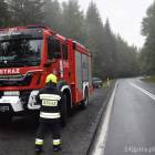 Fotka nr 5 z 8