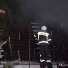 Fotka nr 5 z 7