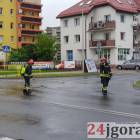 Fotka nr 4 z 11
